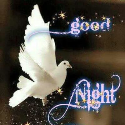 Product picture Doves